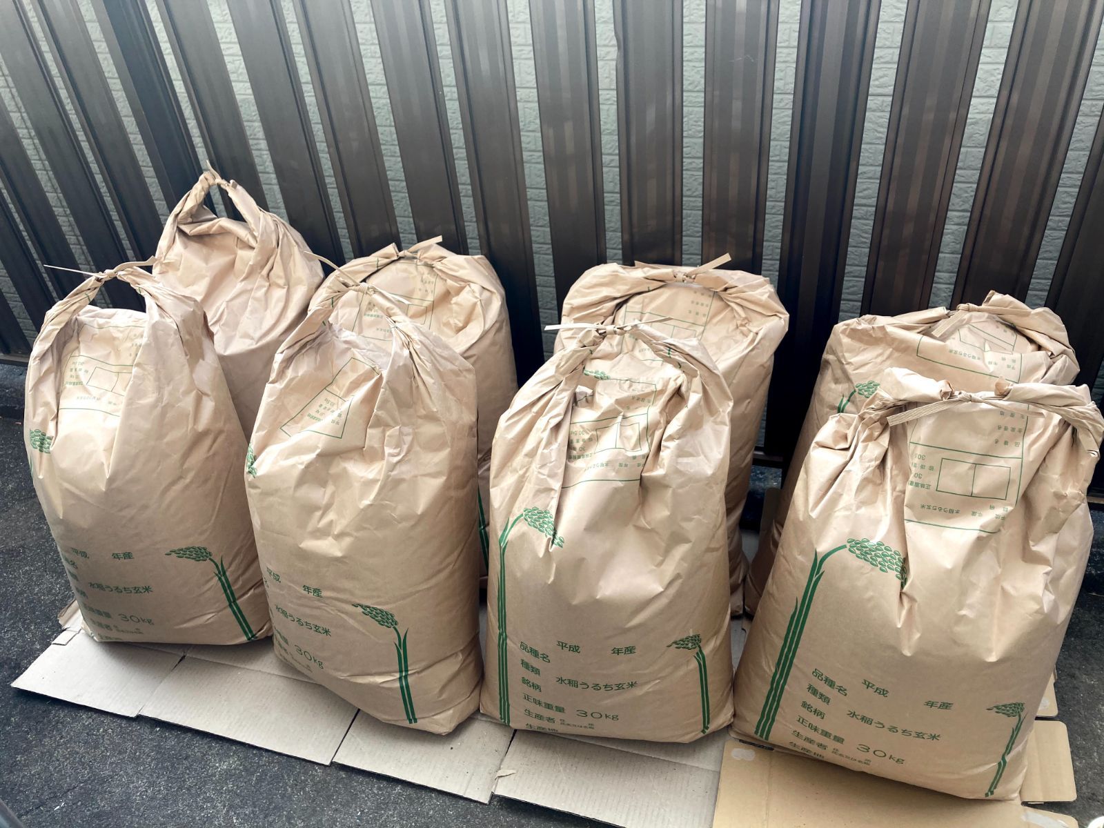 歩留まり指定可 川崎市への 千葉県産コシヒカリ 30kg
