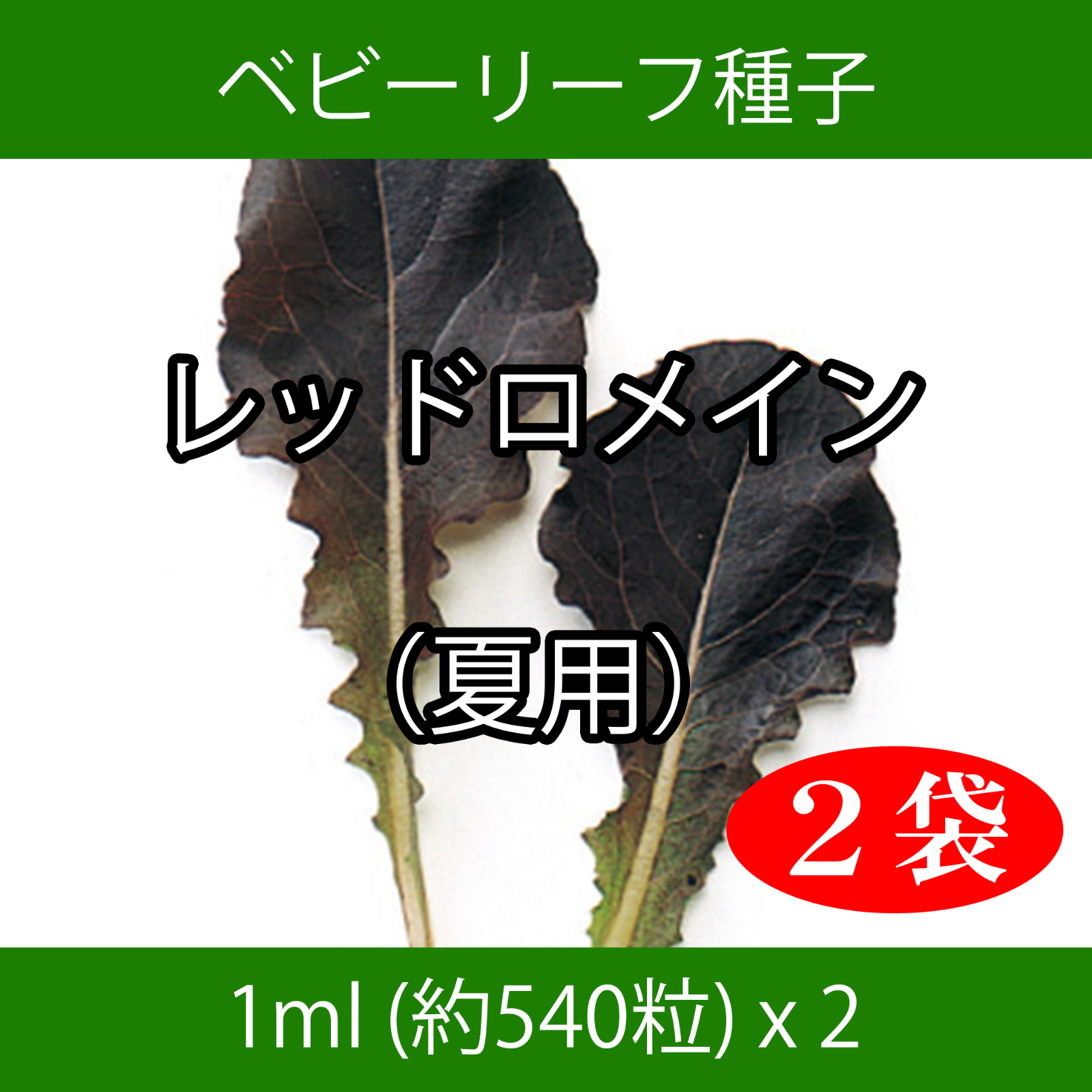 送料無料激安祭 野菜種子 EAO 沖縄小型冬瓜 5粒 x 2袋