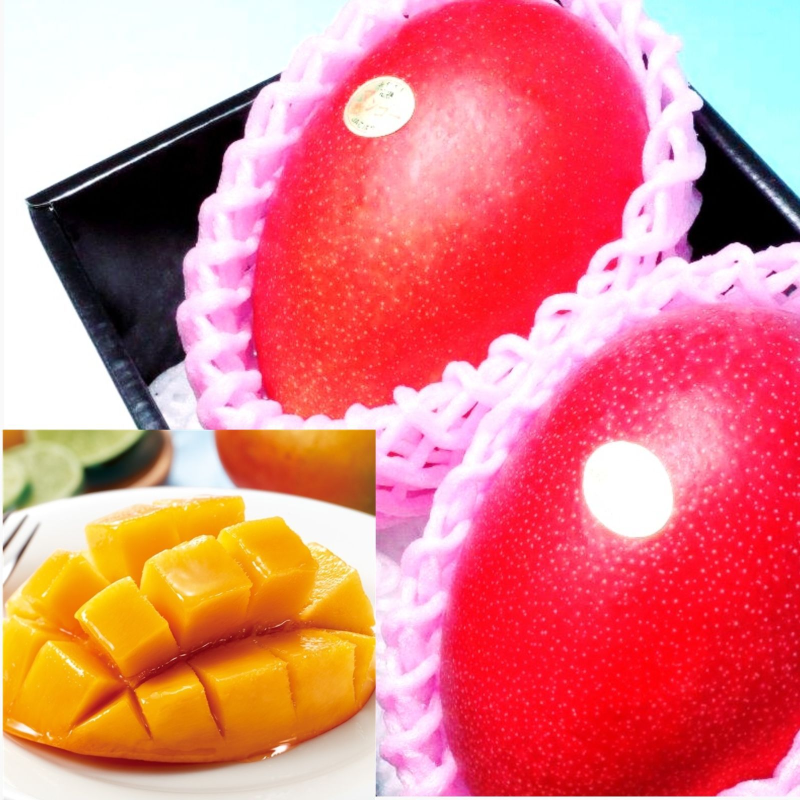 厳選 4L特大玉 赤秀品【宮崎県産 完熟マンゴー】2玉 最大級の 超大玉4L玉 厳選 4L特大玉 赤秀品【宮崎県産 完熟マンゴー】2玉 最大級の 超大玉4L