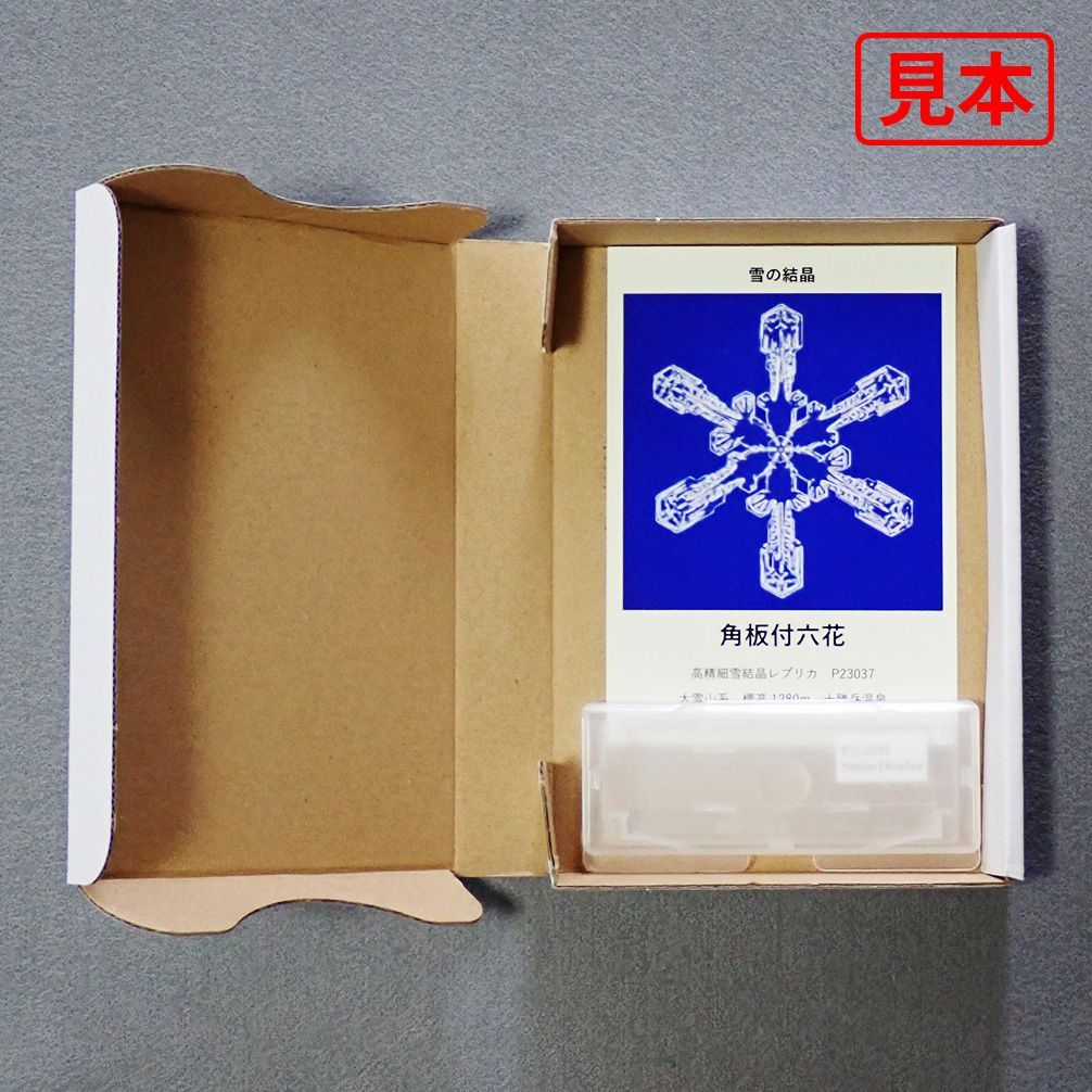 雪の結晶の化石【高精細雪結晶レプリカ（Aランク） P23173】 過去最高の