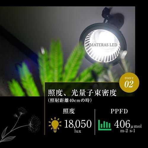 LEDライト