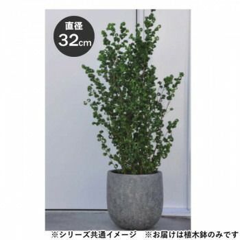 グリーンポット 植木鉢 ラヴァライト Uポット ブラック 32cm EB-VL3232BK