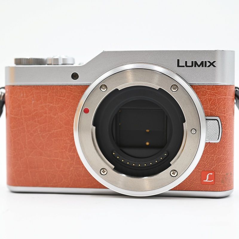 Panasonic LUMIX DC-GF9W ダブルレンズキットカメラケース付