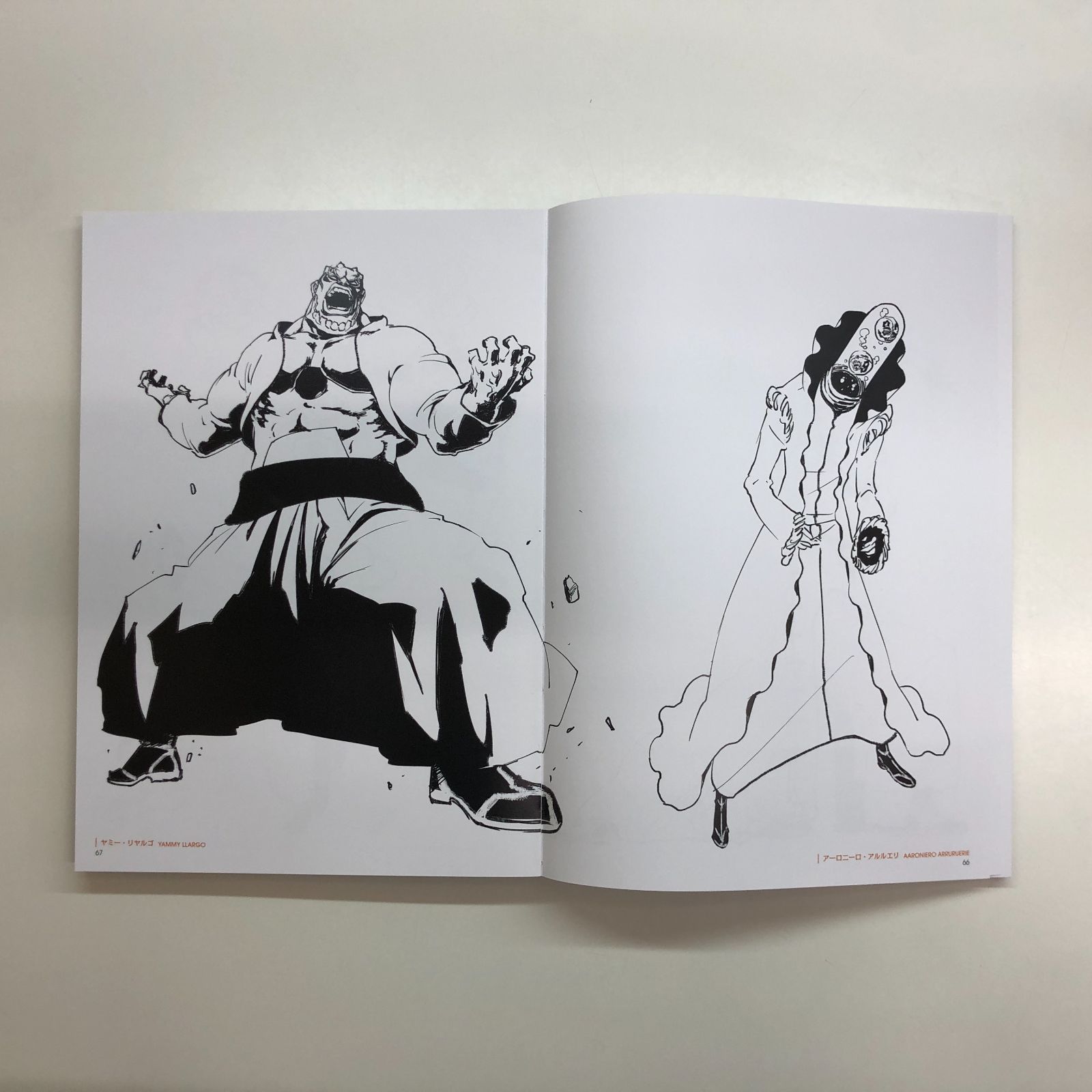本 [N]BLEACH EX. THE BLACK BROCHURE 画集