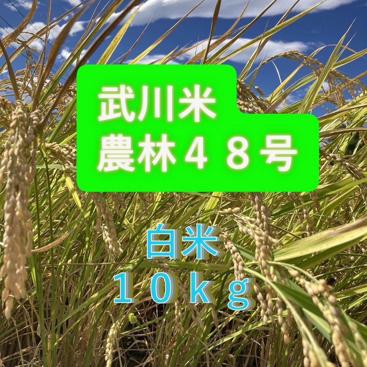 武川米】農林48号 10kg（白米）山梨県北杜市武川町産 お米 10