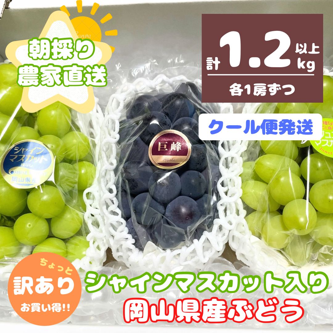 クール便】ちょっと訳あり シャインマスカット 入り岡山県産
