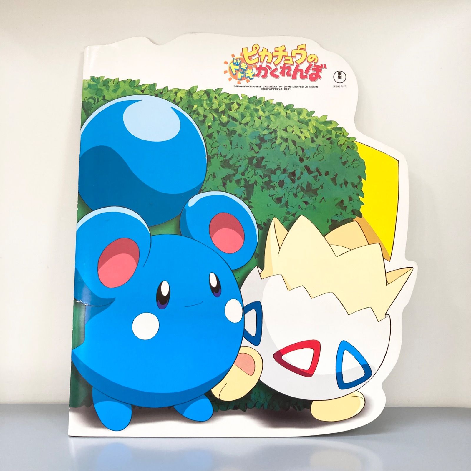 ピカチュウのドキドキかくれんぼ ピカチュウのなつやすみ