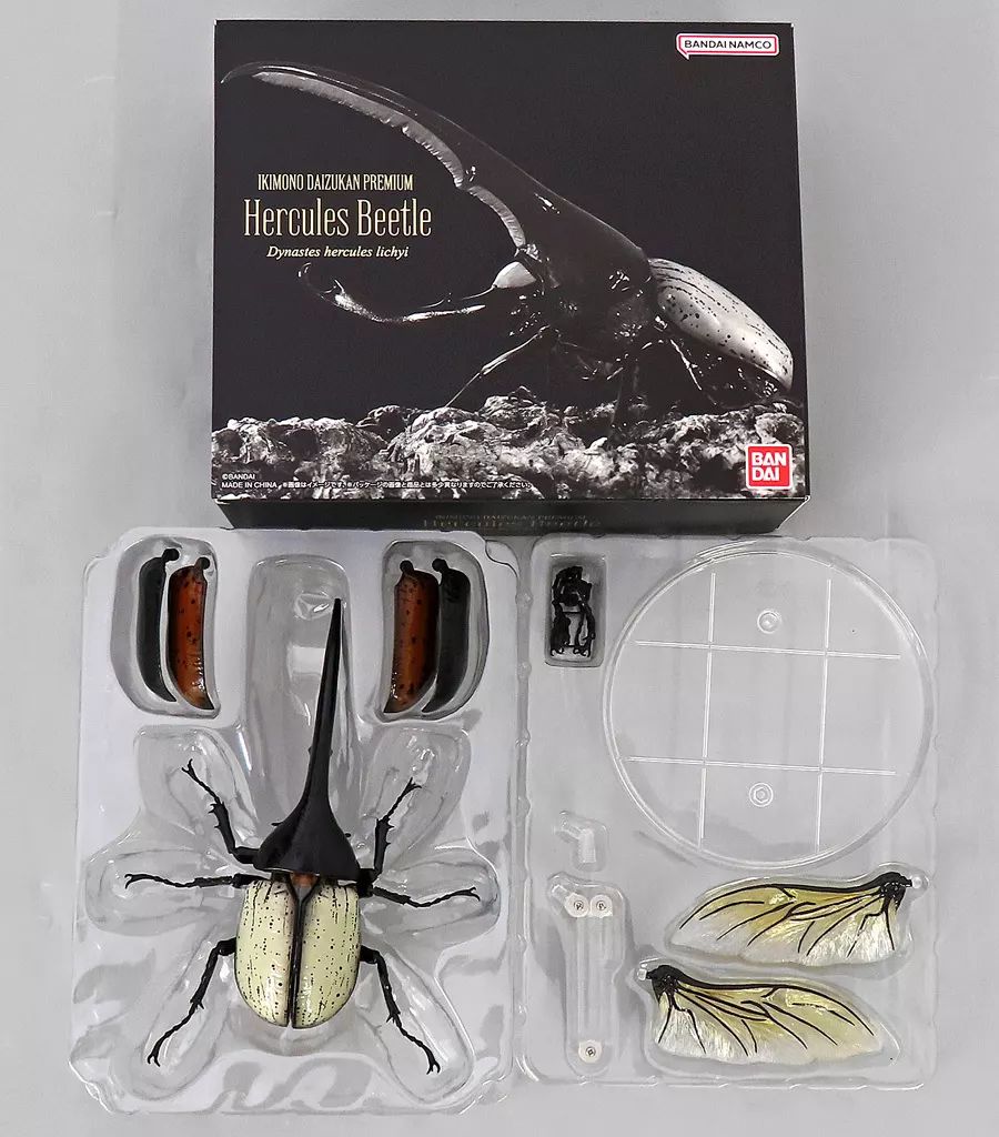 VTS TOYS 1/6 マッドマックス 怒りのデスロード ホットトイズ 系