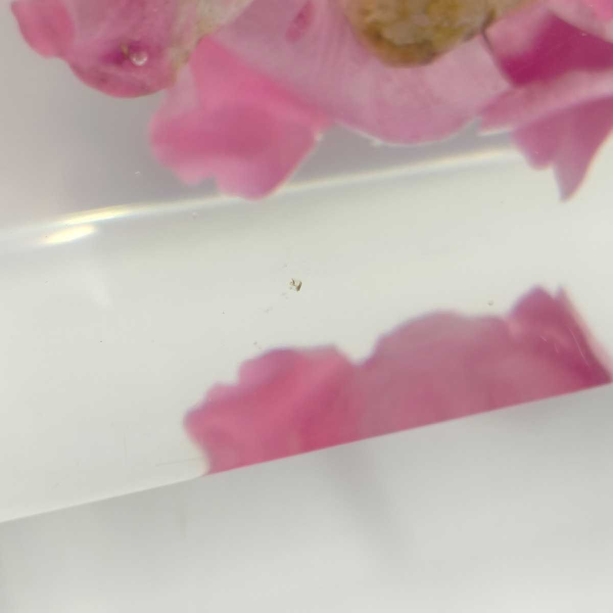 東信 あずままこと ブロックフラワー Block Flowers シャクヤク 芍薬