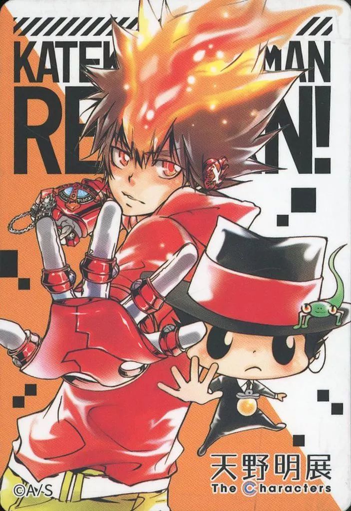 家庭教師ヒットマンREBORN 沢田綱吉 マグネット 中古】マグネット・磁石 沢田綱吉＆リボーン 「家庭教師ヒットマン