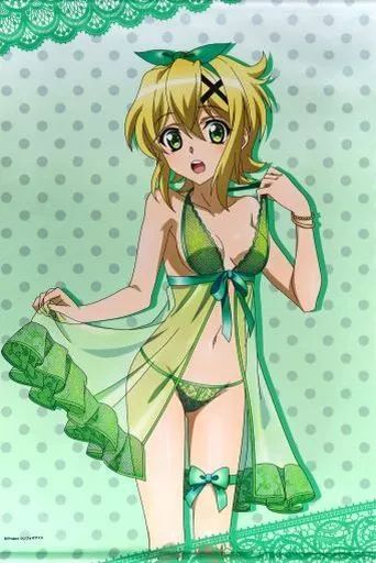 中古】タペストリー 暁切歌 描き下ろしB2タペストリー 「戦姫