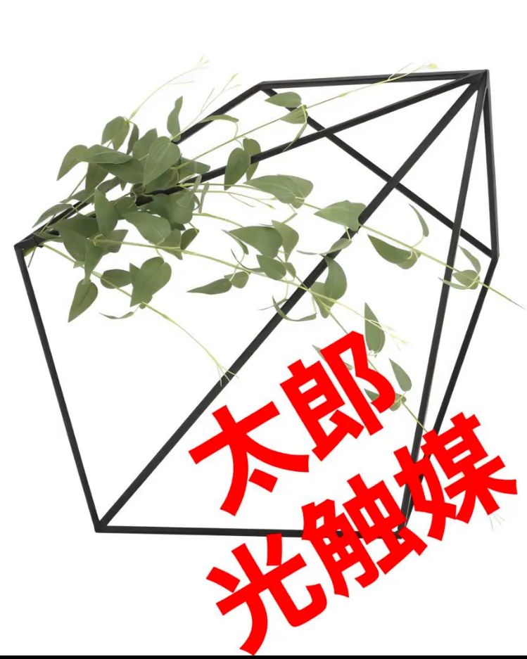 光触媒 人工観葉植物 ウォールグリーン フェイクグリーン 壁面緑化