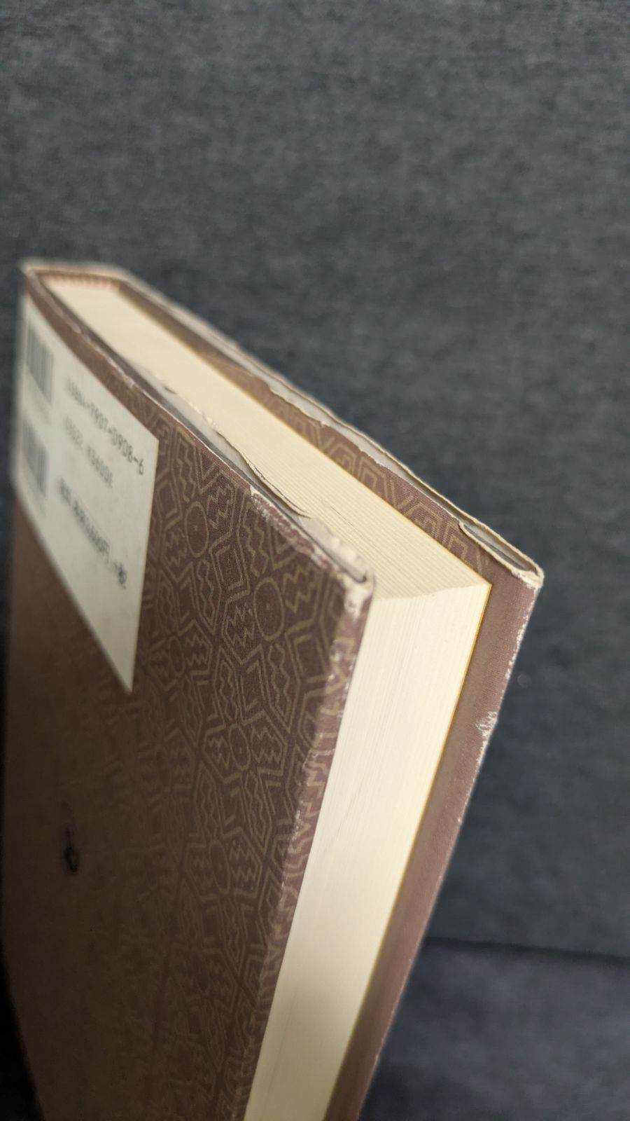 表象の植民地帝国 近代フランスと人文諸科学 竹沢尚一郎 世界思想社