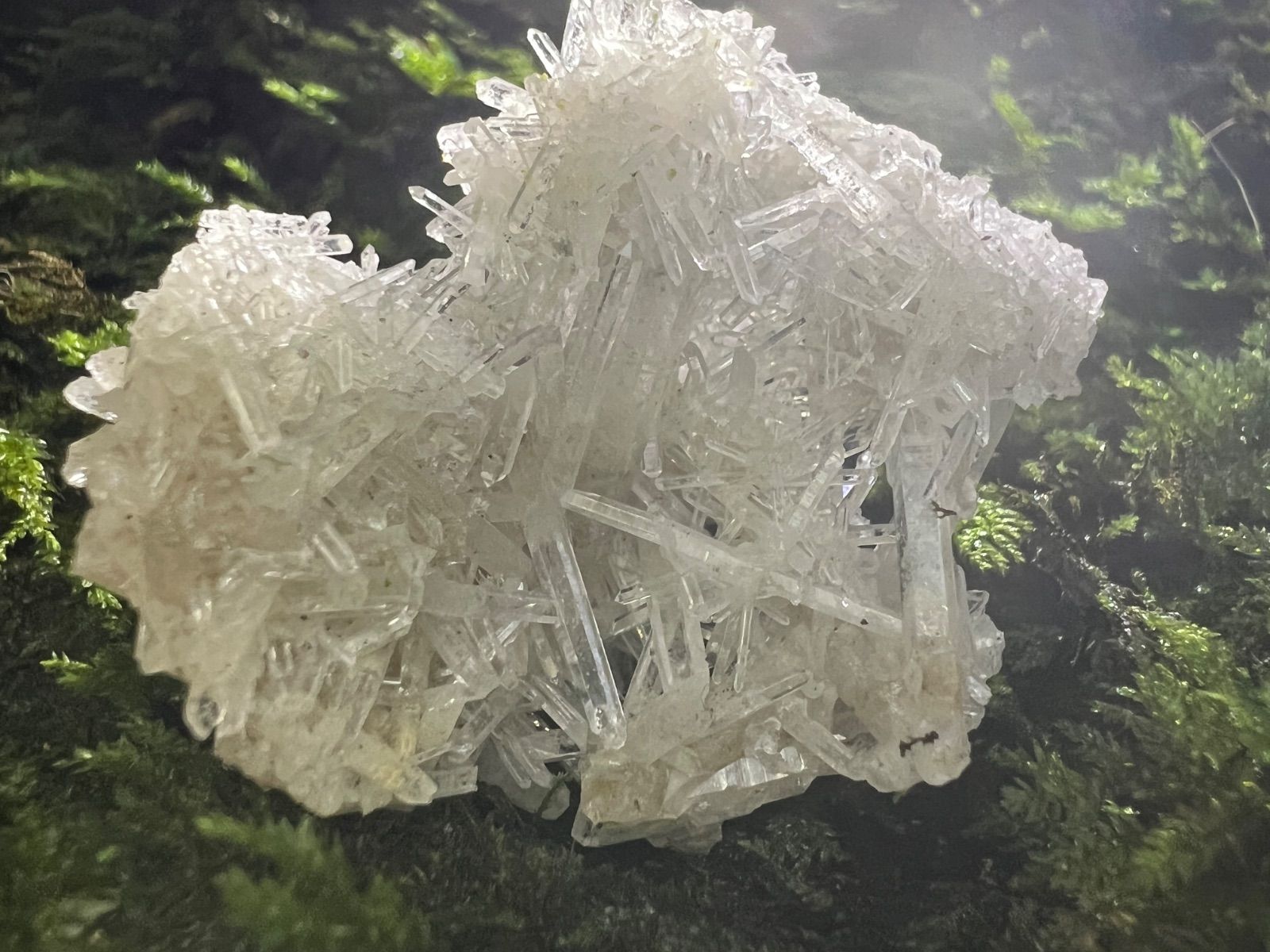 龍脈の精髄 ―宮崎産 水晶クラスター 「聖域を生む調和の結晶」【保護猫活動支援】 龍脈の精髄 クラスター 宮崎の山が授けた浄化と守護 売上一部保護猫