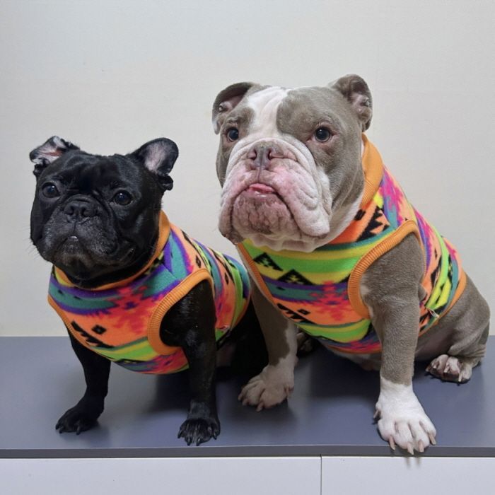 メルカリ フレブル 服 フレンチブルドッグ 3XL ネイティブ柄 フリース