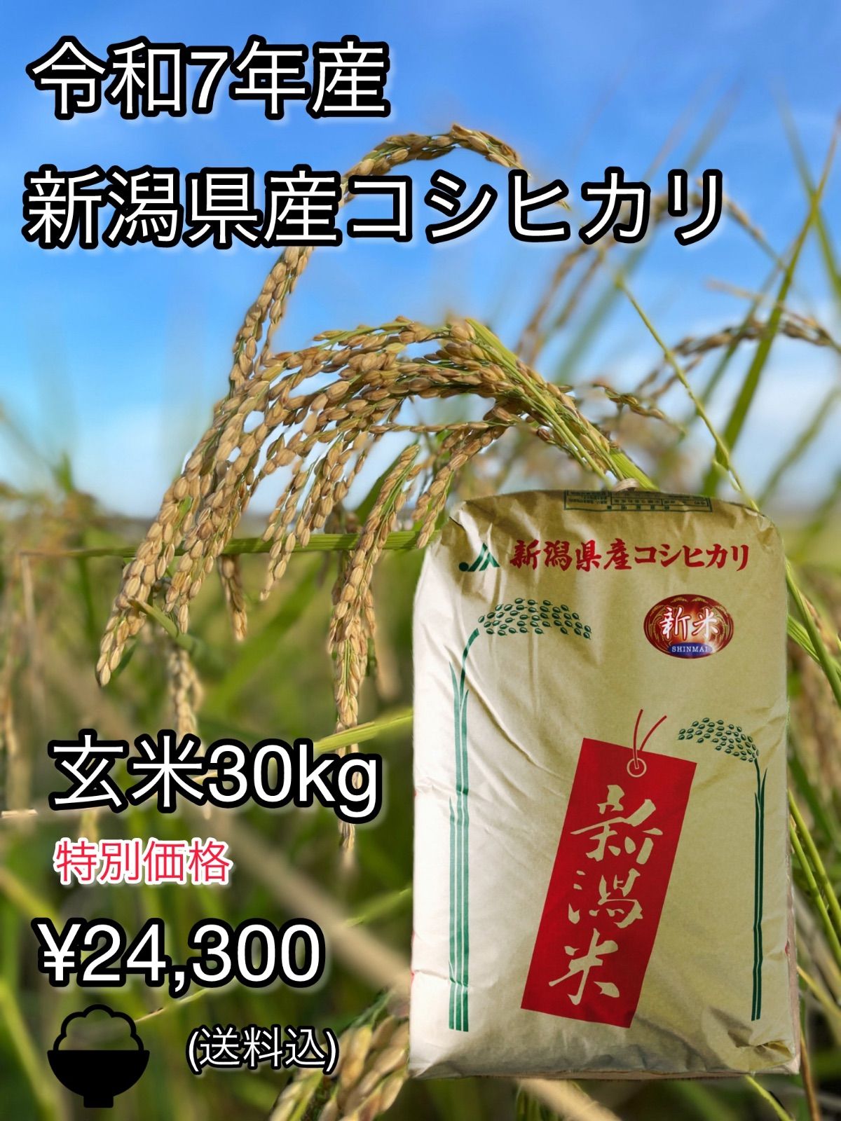 R6年　自然栽培　ミズホチカラ玄米粉10kg（500ｇ×20） R6年 自然栽培 ミズホチカラ玄米粉10kg（500g×20）