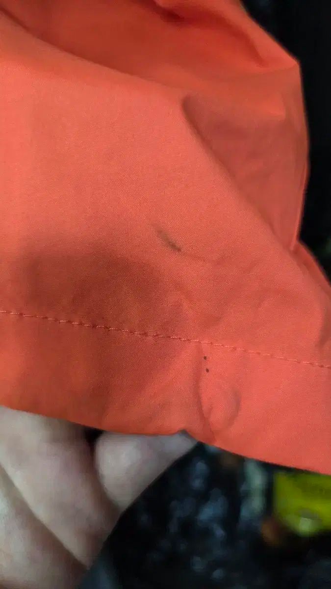 イーグルス スケリーも