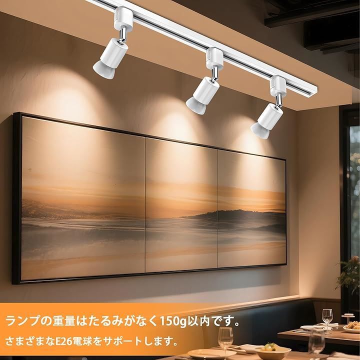 M2632-126-93】ダクトレール スポットライト E26 12個セット