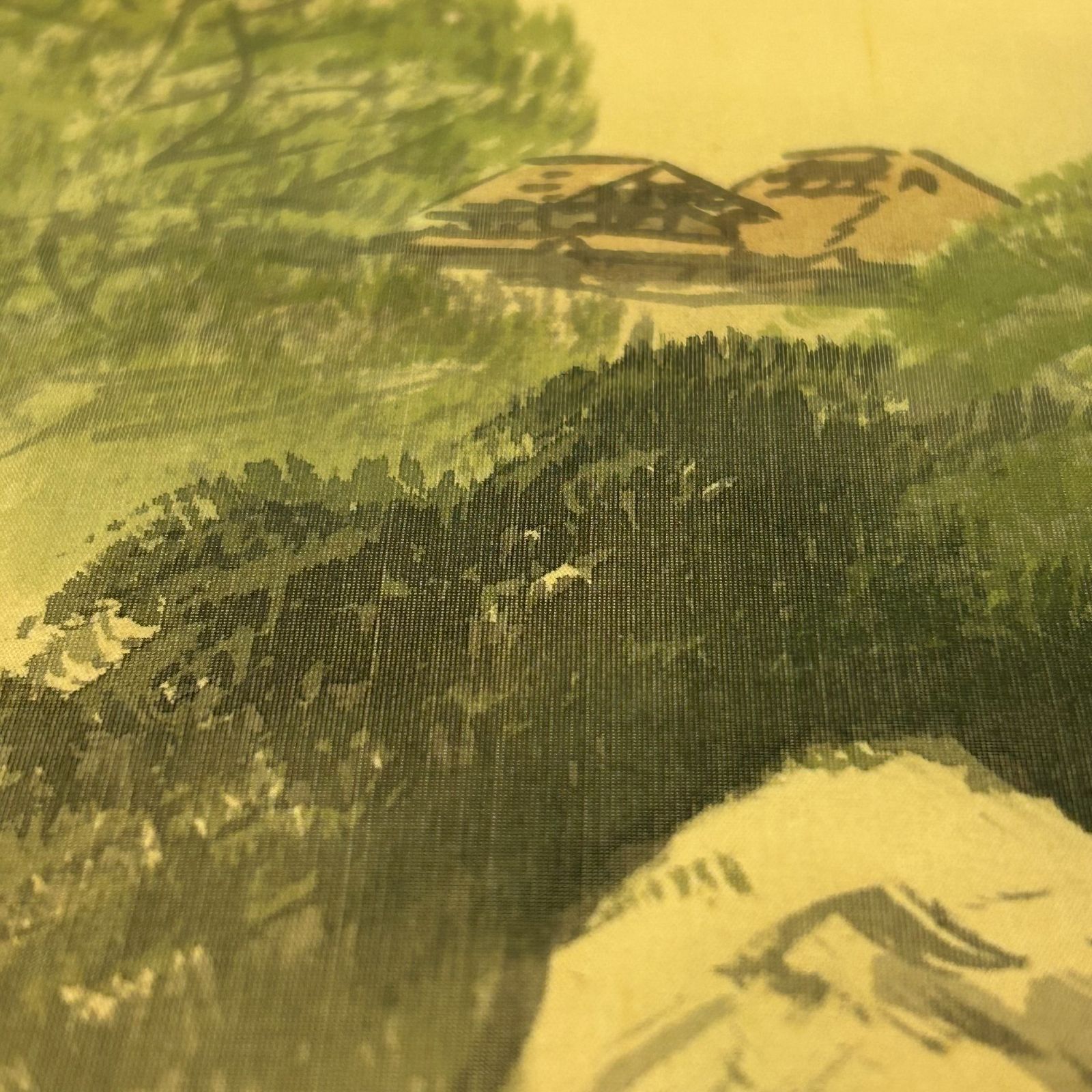 掛軸 水墨山水図 作者不明 落款あり 箱付き 山水画 風景画 彩色