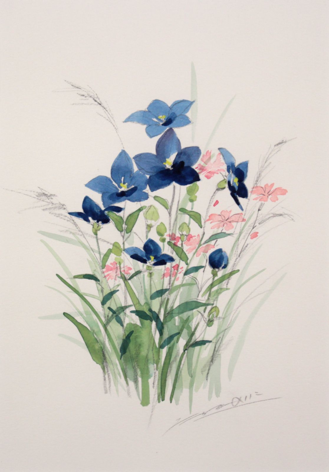 たかたのりこ　水彩画 たかたのりこ『キキョウ』水彩画【真作保証】 絵画 - メルカリ