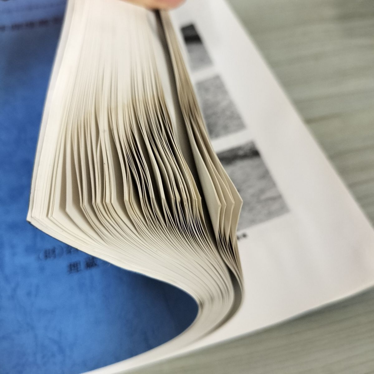 岩手県文化振興事業団埋蔵文化財調査報告書第423集 岩手県埋蔵