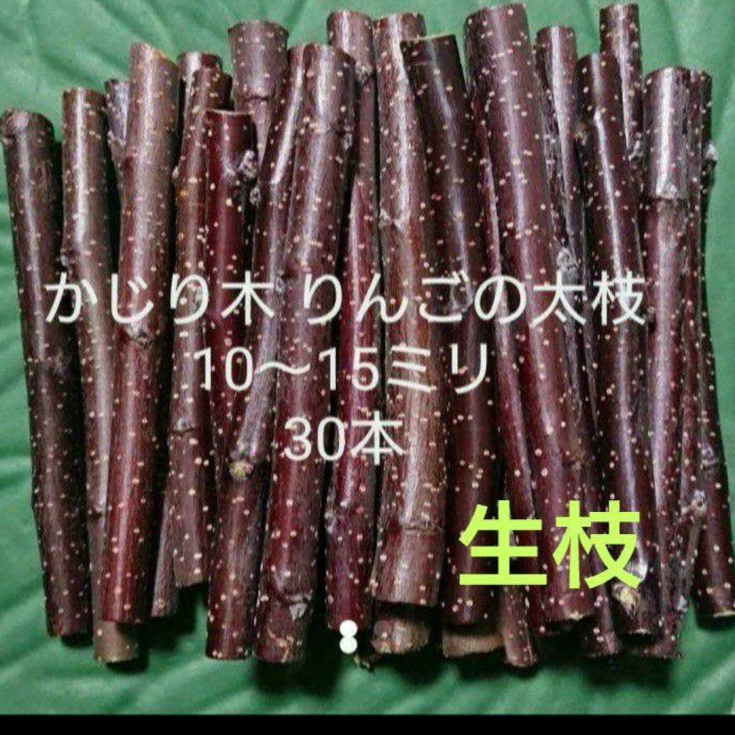 かじり木　りんごの枝　長さ10cm 太さ7〜8mm 1000本　1箱限定 かじり木 りんご枝10cm 300本 - メルカリ