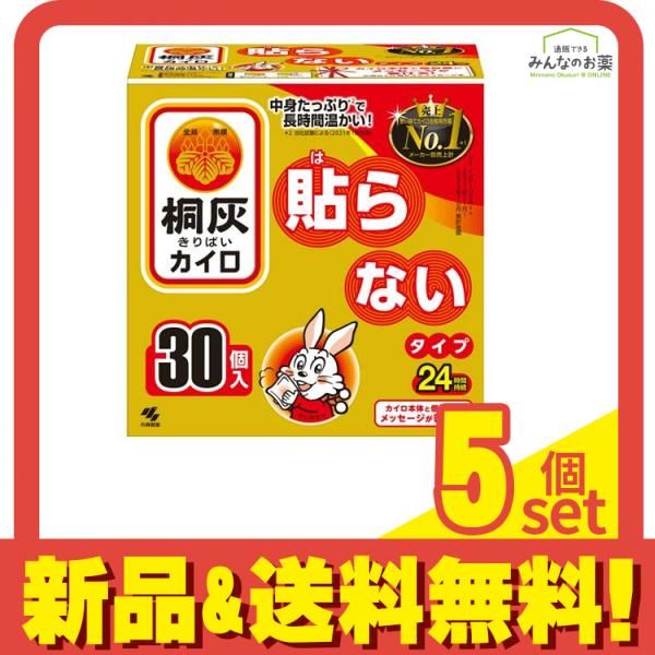 【決算30％】 桐灰カイロ 貼らないタイプ レギュラー 24時間持続 30個入 5個セット