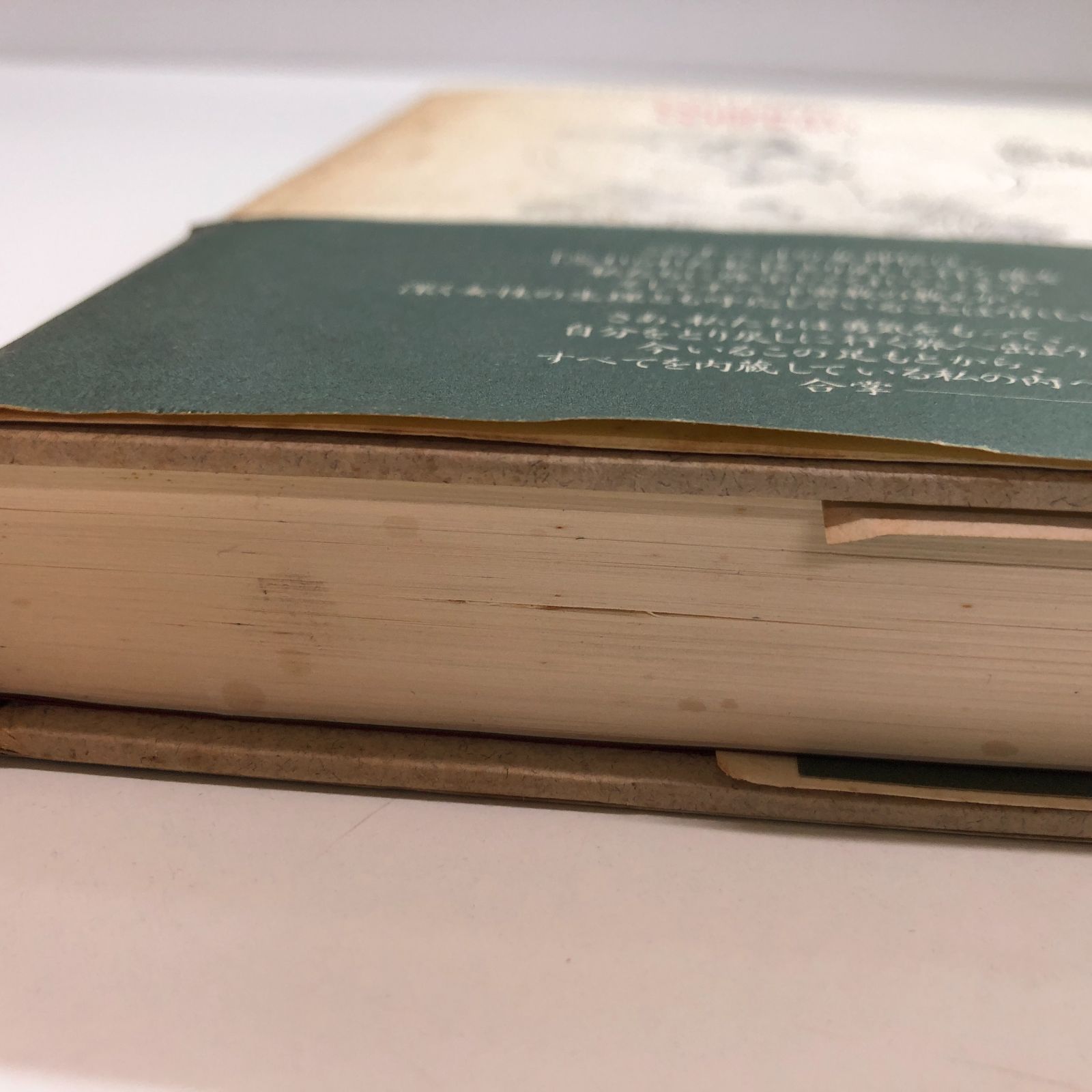 K]智慧の女たち: チベット女性覚者の評伝 (ヒーリング・ライブ