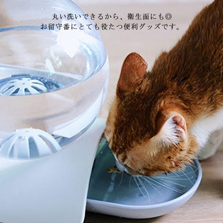 小型犬 水飲み