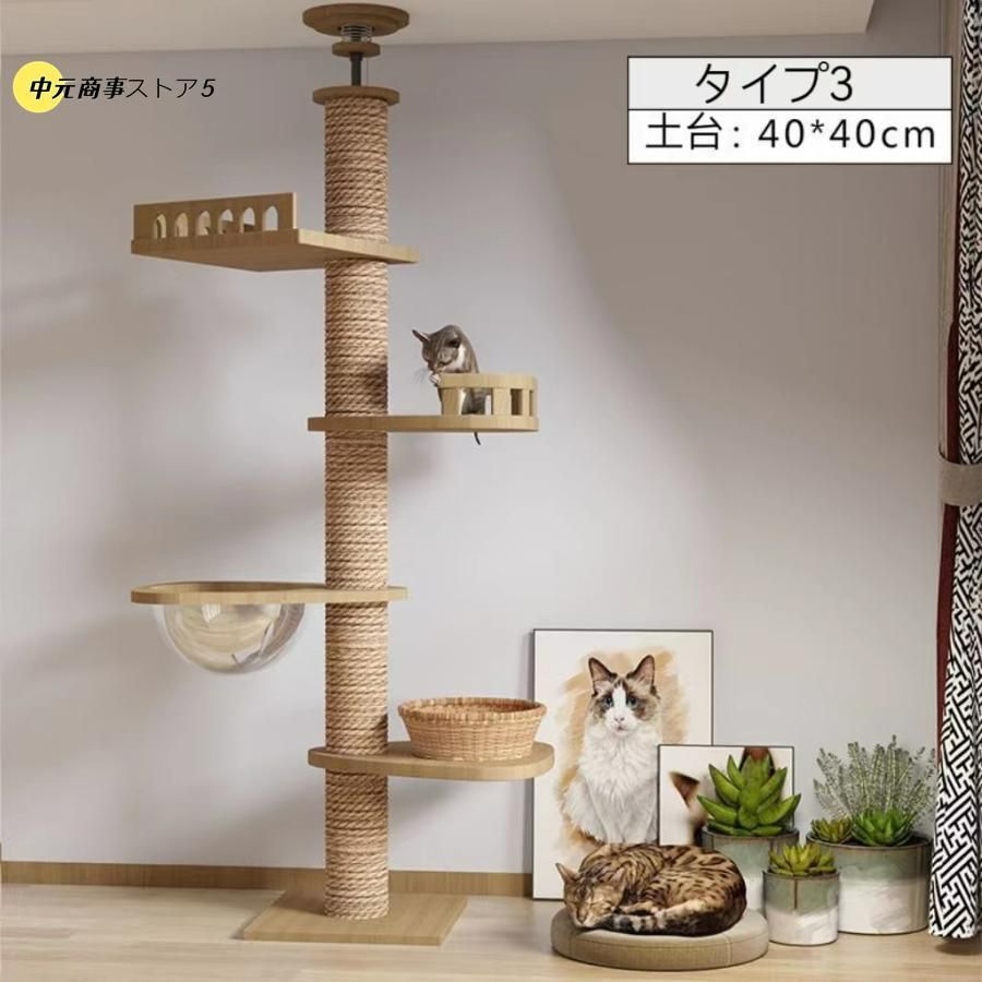 おしゃれ 多頭飼い
