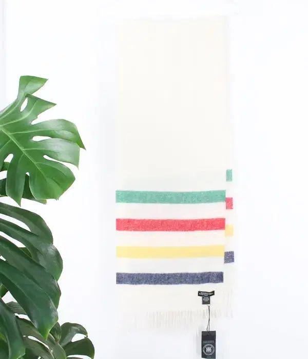 HUDSON S BAY COMPANY