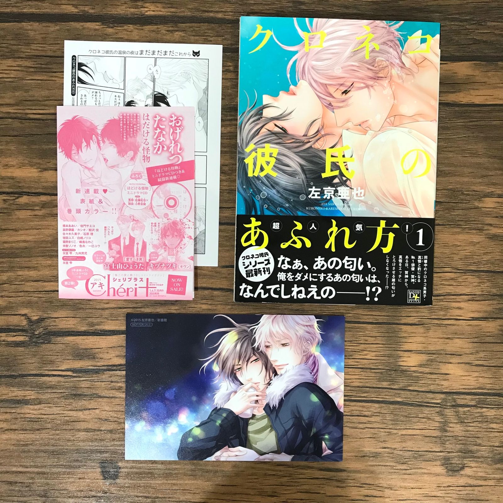 初版】クロネコ彼氏のあふれ方 1巻/左京亜也/GF-0225009408-YP