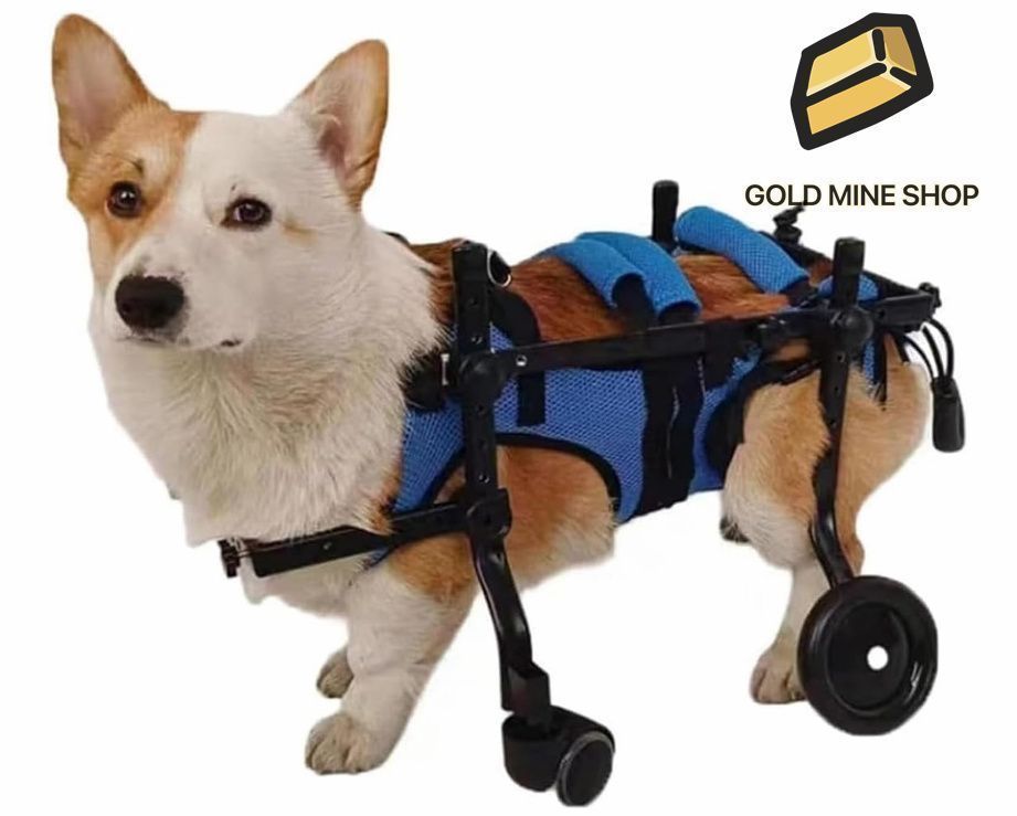 犬用車椅子 4輪 犬用歩行器 犬用 車いす ペット|猫|犬カート サイズ調整 愛犬の 車いす 犬補助歩行器 老犬介護 リハビリ 障害ペット 前