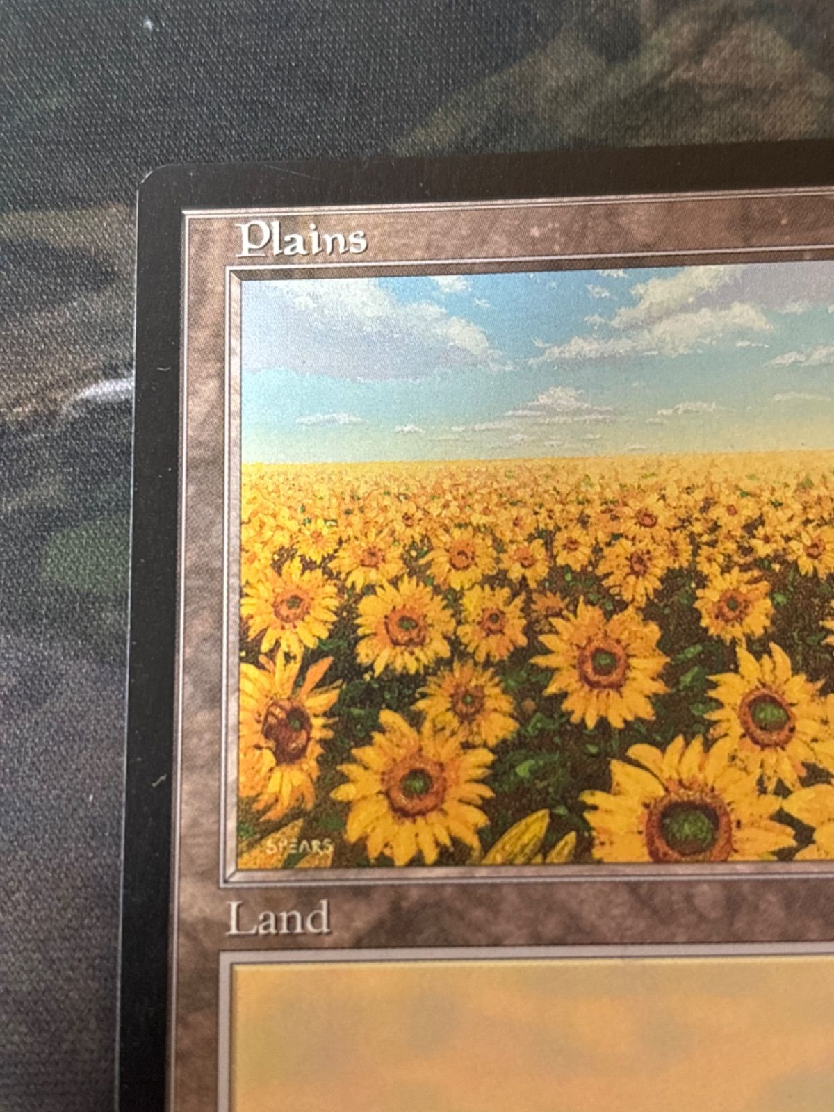 nv17 55 APACランド 平地/Plains Illus.Ron Spears ひまわり