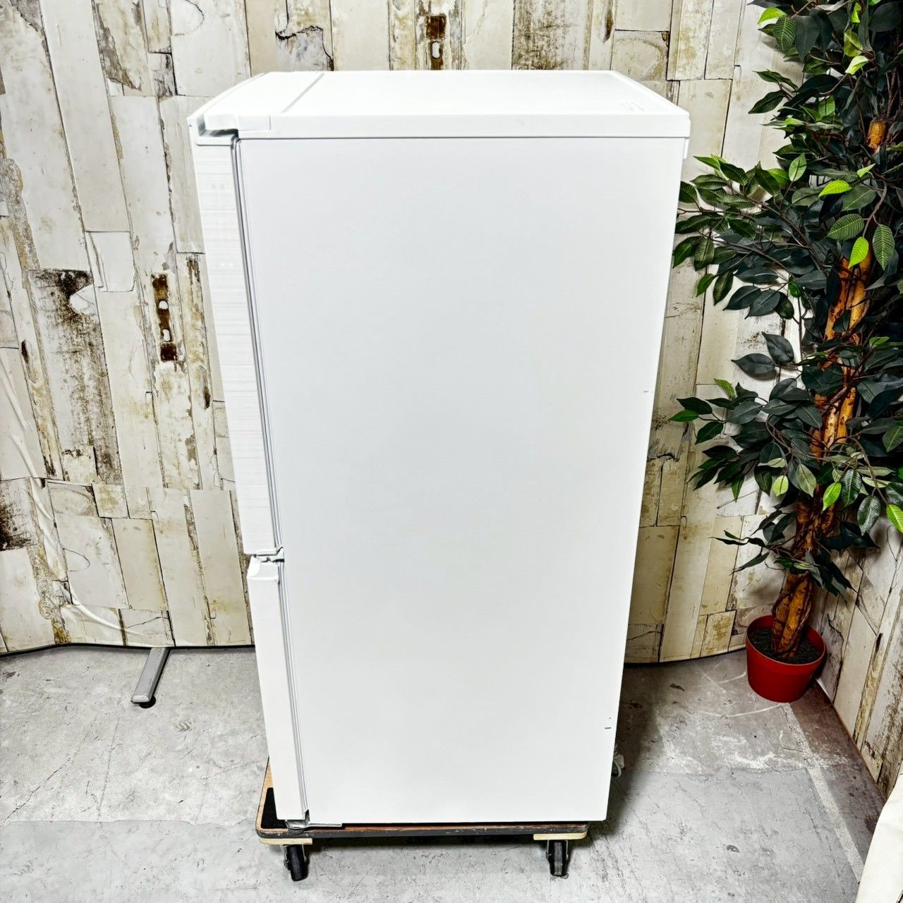 専用【2021年製】 コレクション SHARP シャープ SJ-D15G-W ノンフロン