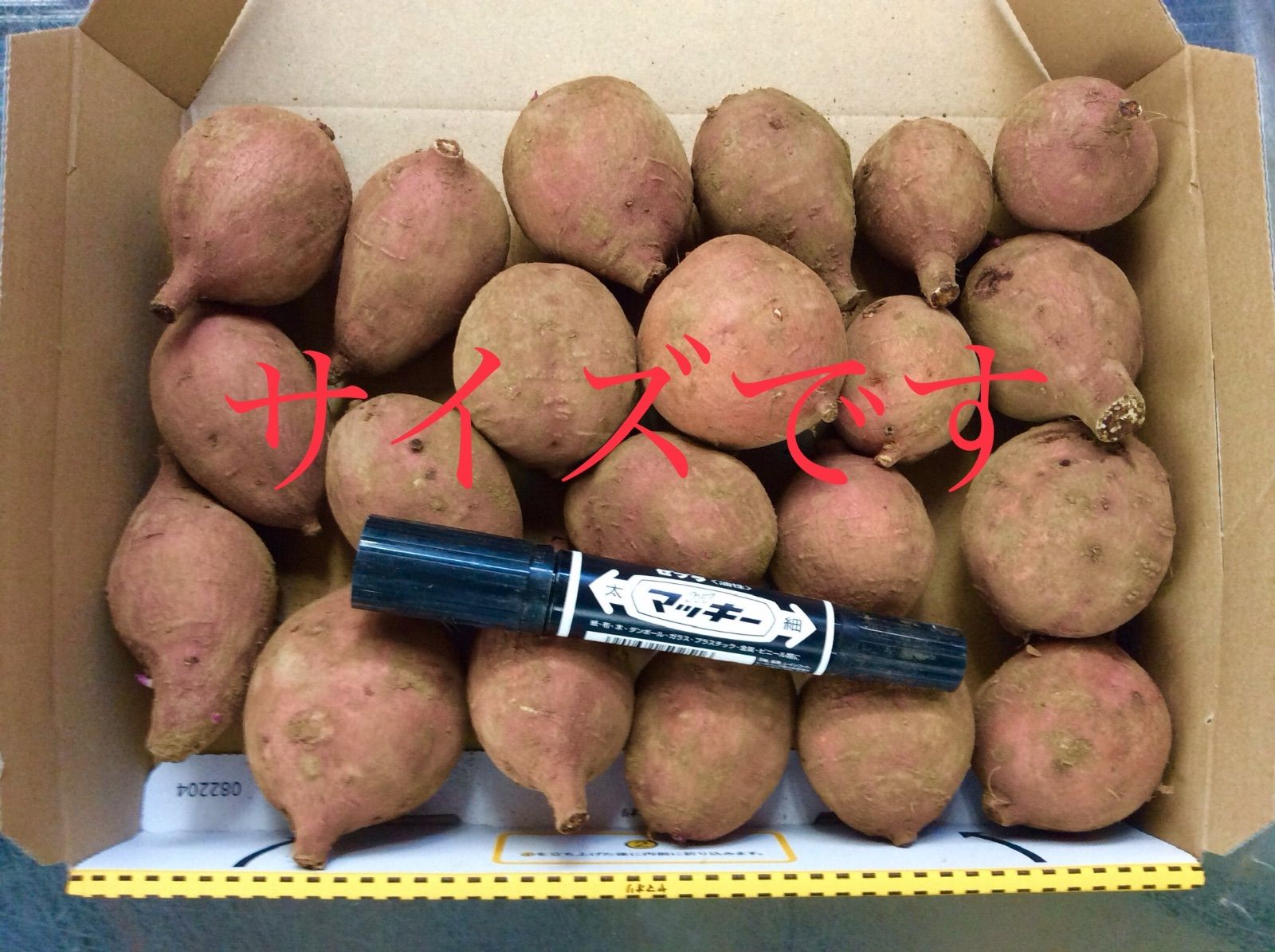 2sサイズプチ 20kgさつまいも種子島産安納芋 焼き芋におやつに #052