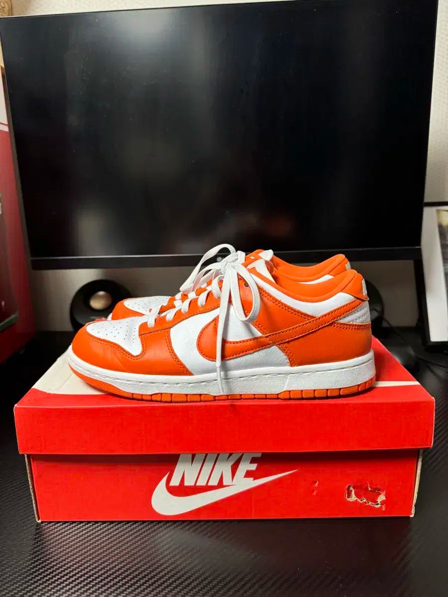 260 NIKE(ナイキ) ダンク ロー シラキュース 2020