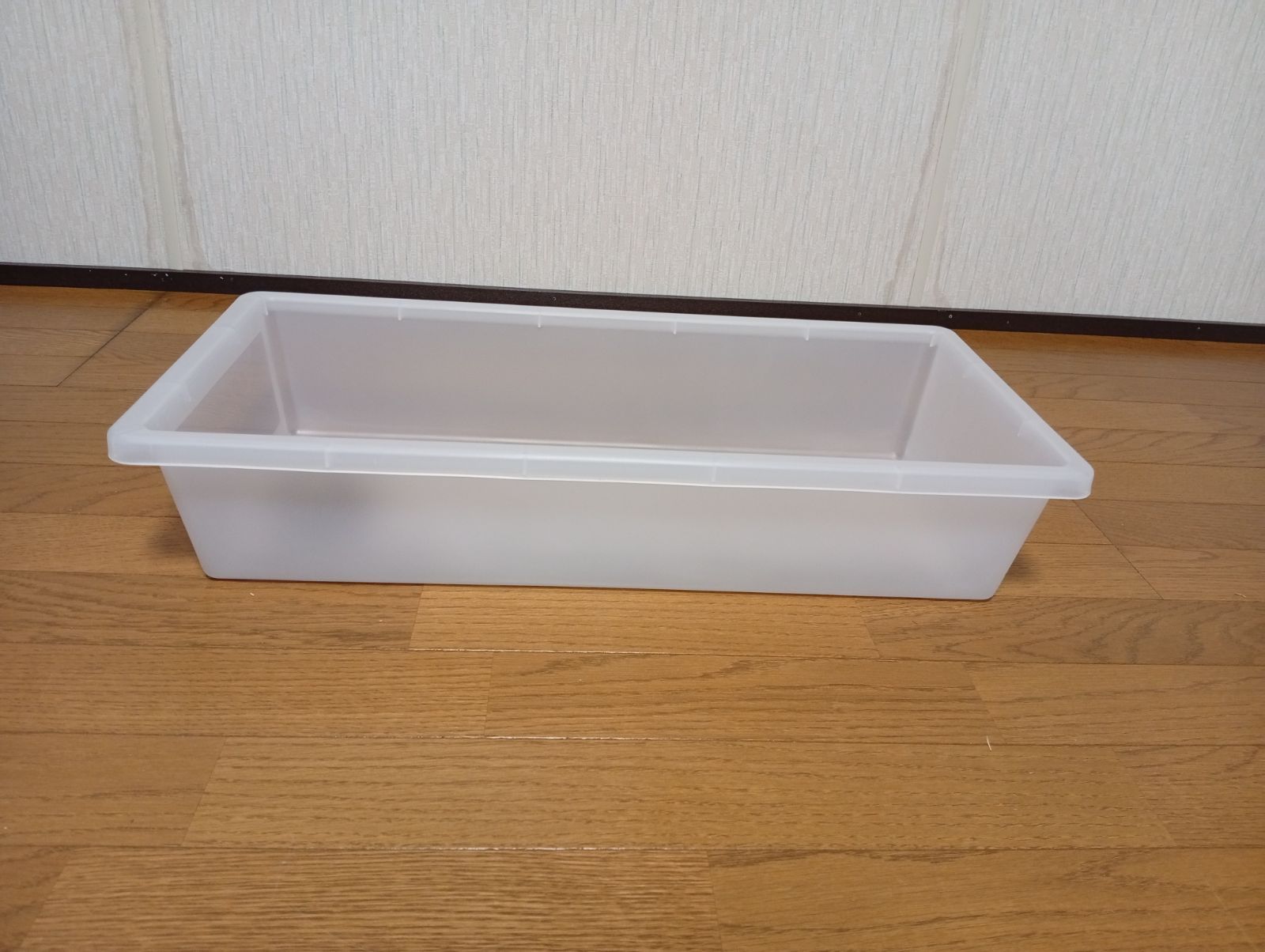 爬虫類 ボールパイソン