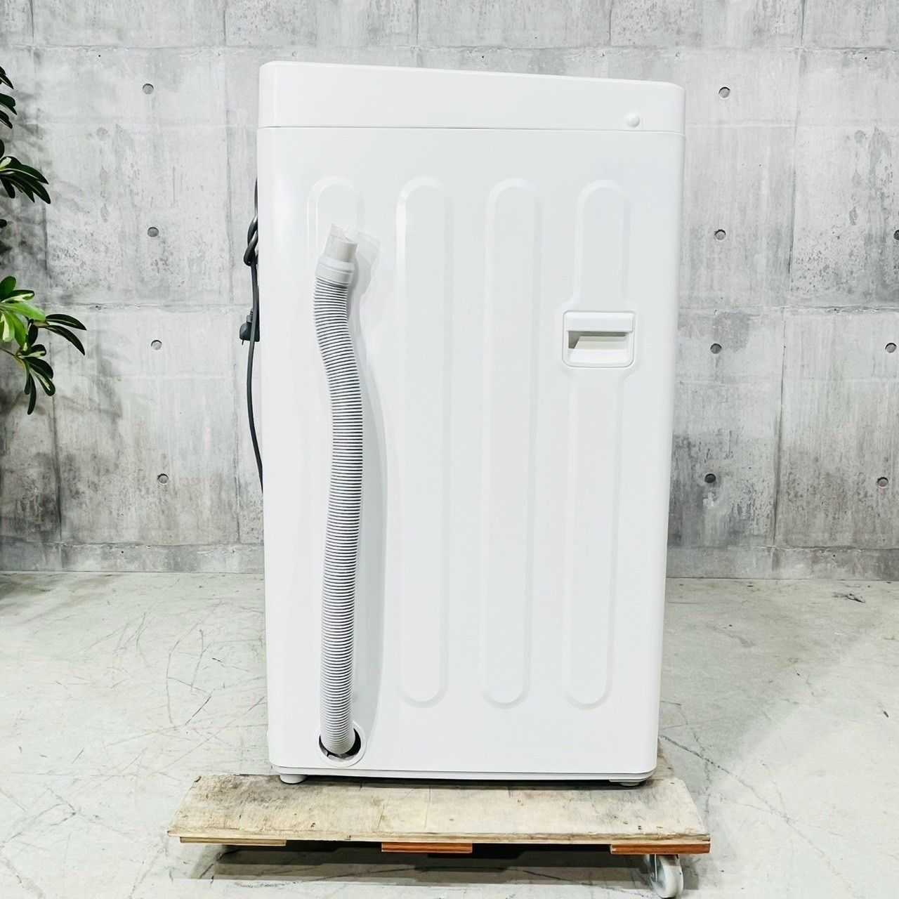 5.0kg