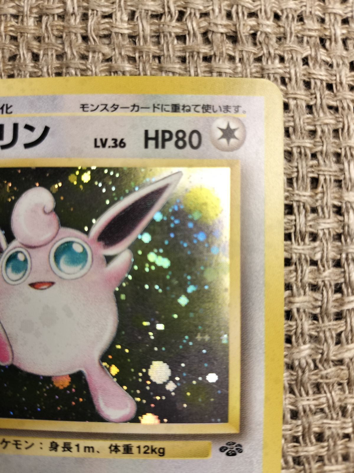 のサムネイル