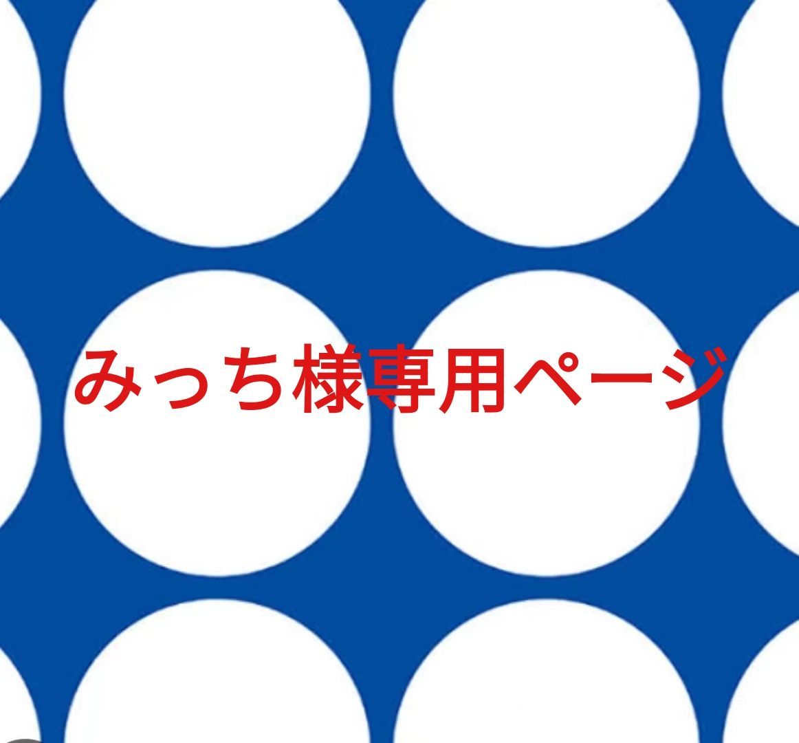 みっち様専用ページです。-直営特価の通販サイト