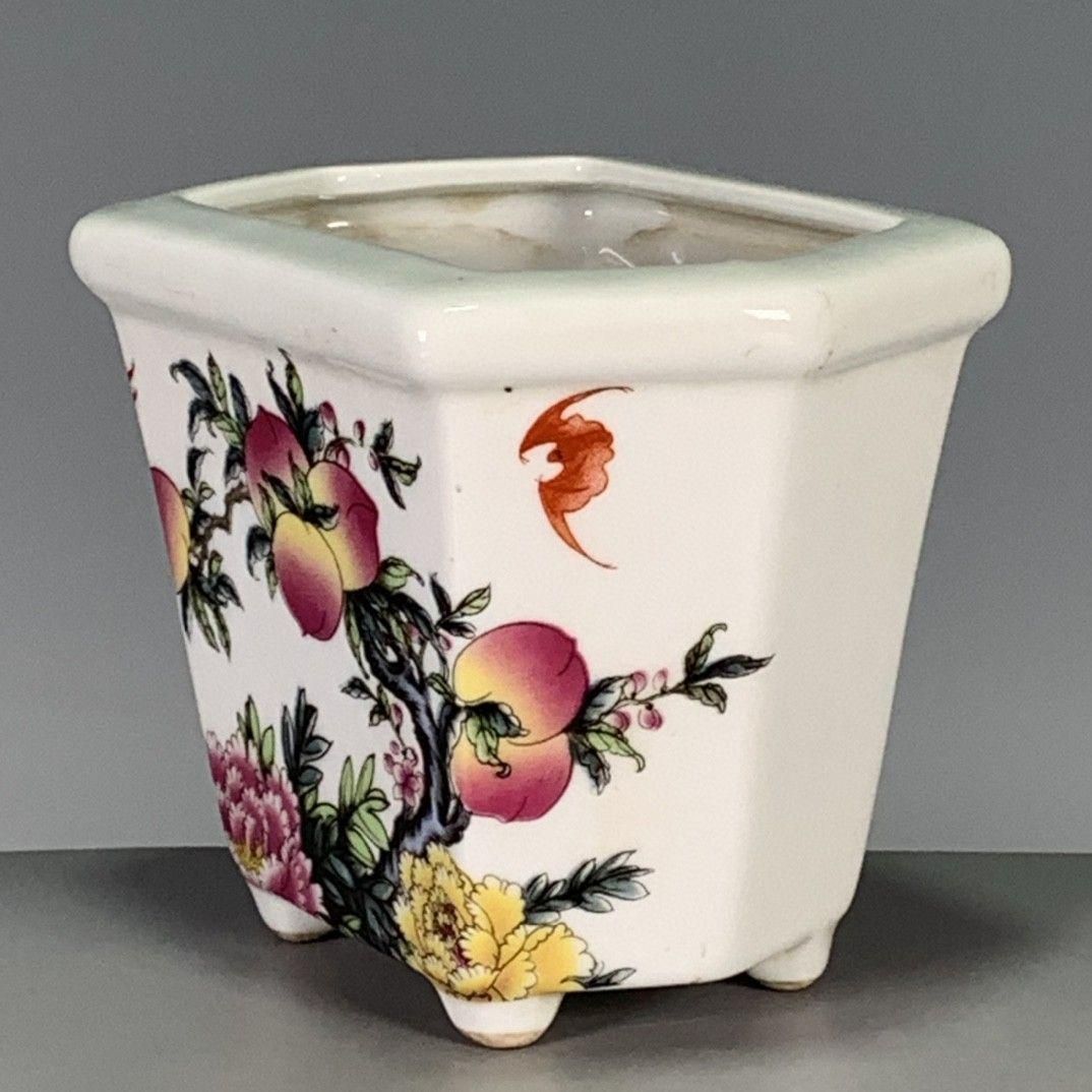 パステル寿桃富貴長春六稜鉢 盆栽鉢 植木鉢 小品盆栽 - メルカリ