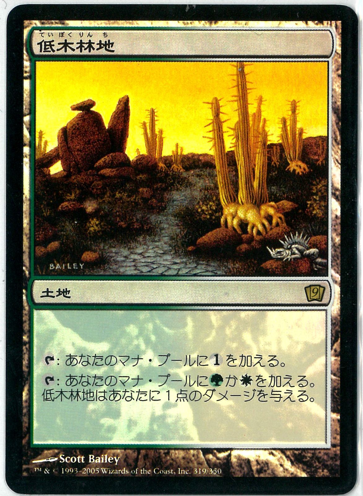 FOIL/MTG/英語版/低木林地/Brushland/第9版/9th Edition/9ED/NM