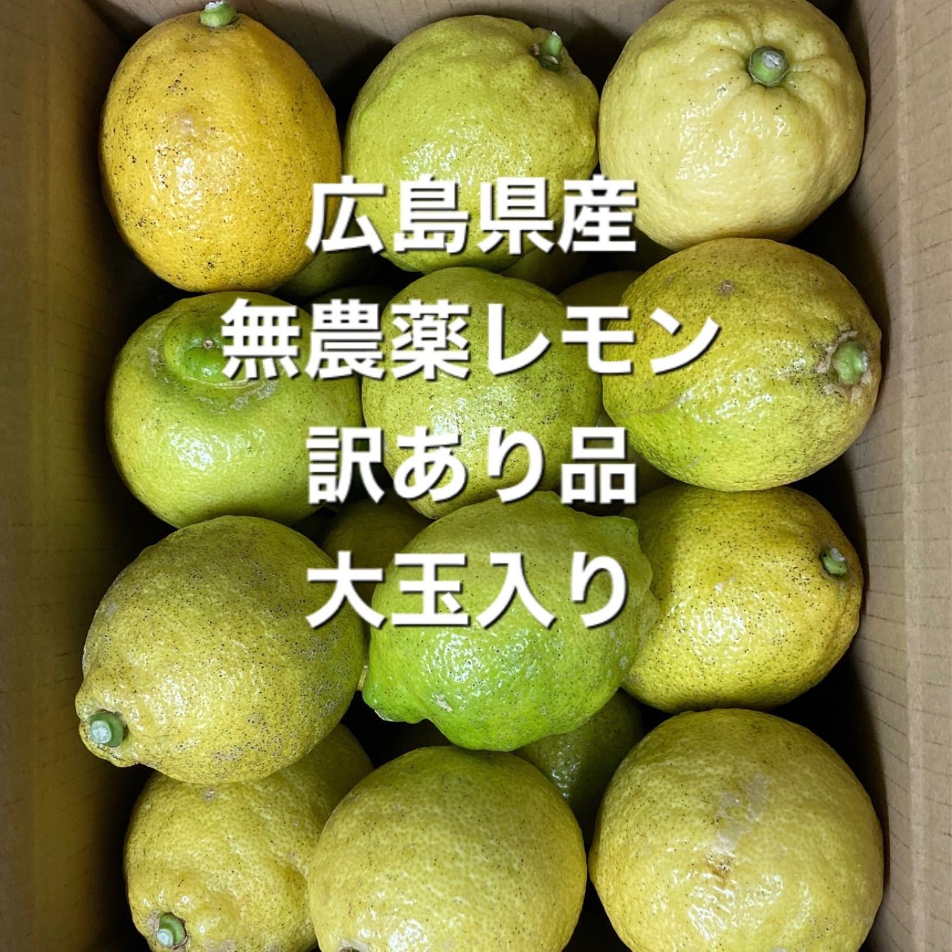 レモン 国産 無農薬 - 果物