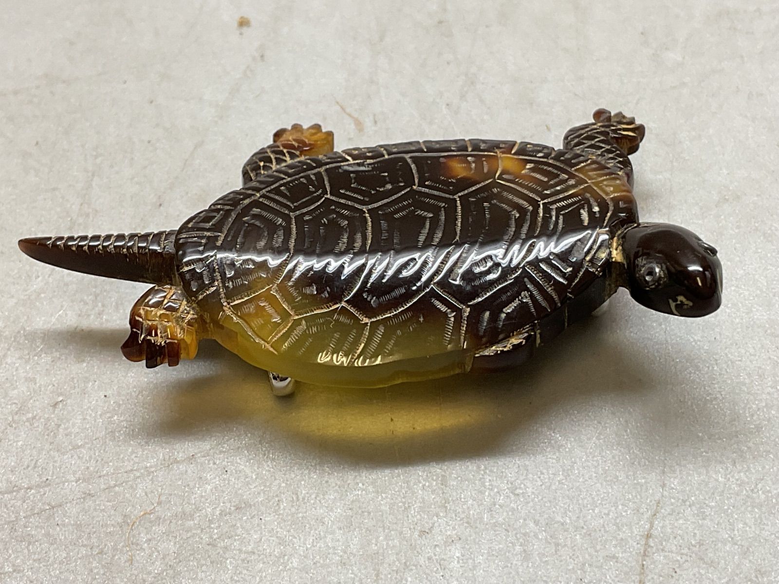 カメ