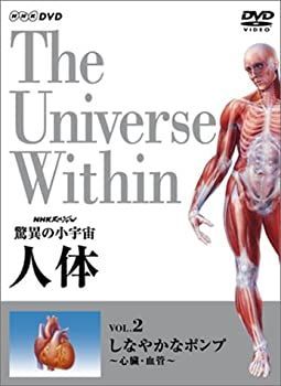 脅威の小宇宙　人体Ⅰ・Ⅱ・Ⅲ DVD18巻セット　NHKスペシャル D 驚異の小宇宙 人体 新価格版 DVDセット｜ドキュメンタリー｜DVD