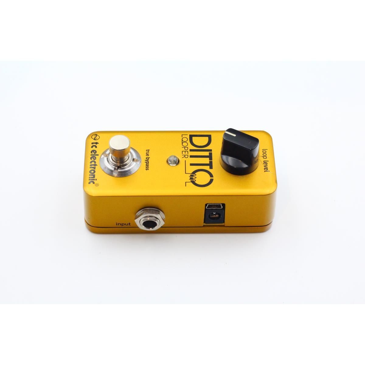 ギター DITTO LOOPER GOLD T．C．ELECTRONIC DITTO LOOPER