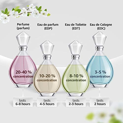 SP 100ml