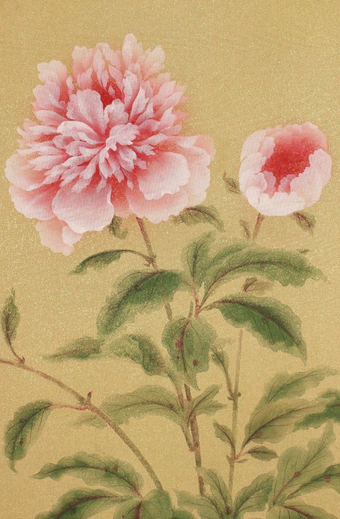 dr2017 美品 掛け軸 真道黎明作 牡丹図「芍薬」共箱 横山大観