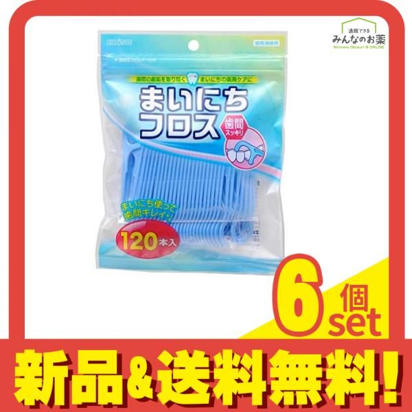 エビス まいにちフロス 120本入 B-D2384 6個セット